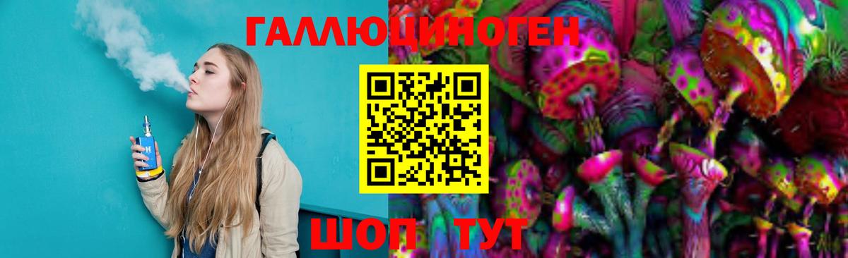 где найти   Псилоцибиновые грибы мухоморы  Вход с VPN  Псилоцибиновые грибы Psilocybe  Камень-на-Оби 